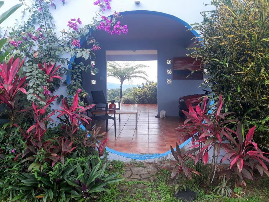 Apartamento Swim & Paint Art Retreat Las Piedras Exterior foto
