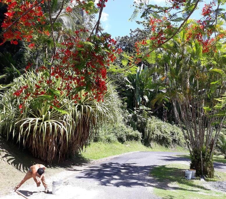 Apartamento Swim & Paint Art Retreat Las Piedras Exterior foto