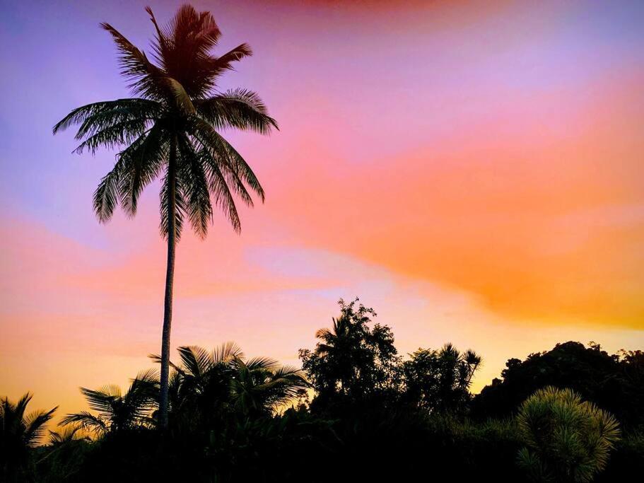Apartamento Swim & Paint Art Retreat Las Piedras Exterior foto