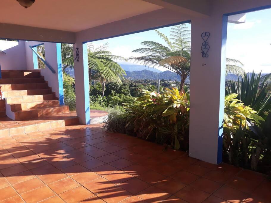 Apartamento Swim & Paint Art Retreat Las Piedras Exterior foto